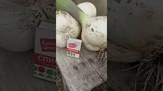 Вацап / мах  для каталога 89152458159 письменно