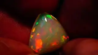 MAH04454