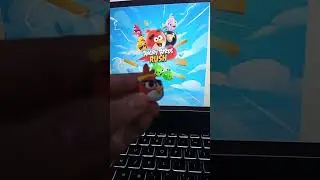 2025 Angry Birds Recap