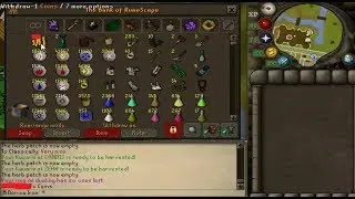 Runescape[2007]: Borrow Iron's Ironman Bank & Future Goals July 2018