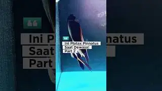 😱