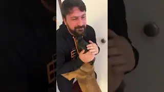 I DUE ERRORI DA NON COMMETTERE QUANDO RICHIAMI IL TUO CANE