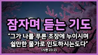 쉴만한 물가로 인도하시는 평안의 기도 ㅣ잠자며듣는기도ㅣ잠들기 전 기도ㅣ하루를 마무리하는 기도ㅣ자면서 듣는 기도 ㅣ밤기도