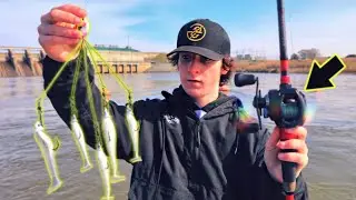 Fishing An Alabama Rig In A Trophy Bass Pond (Surprising Catch)