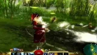 Guild Wars 2: Under the map no clip glitch