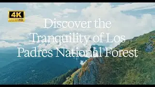 🌲 Discover the Tranquility of the Los Padres National Forest | Nature & Hiking Inspiration