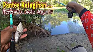 IKAN MUSIMAN spot Kali Sengoro !!! Mancing wader | Mancing Lukas (01) #mancingwader #microfishing