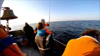 Torsketur 20042014 HD