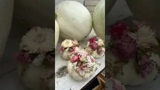 Day 92: 100 Days 100 Bouquets (Mini Dried Pumpkin Arrangements) #pumpkin #farmerflorist