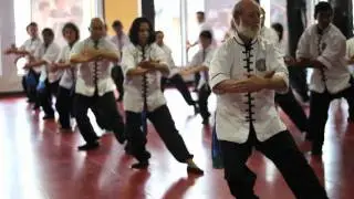 White Dragon Martial Arts | Kung Fu & Tai Chi for Older Students