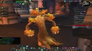 Drak'Tharon Keep 5N Speed Up - warmane.com 3.3.5 Icecrown