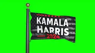 Kamala Harris - Flag of Presidential election 2024 (#2) (green screen)