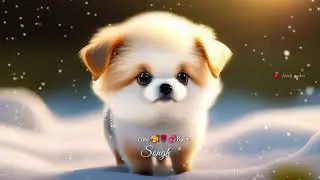 Love Status # Love Status Hindi # watchup Status #meri