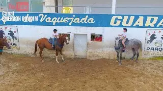 TREINO DE VAQUEJADA  - CORRENDO GADO (PARTE 2)