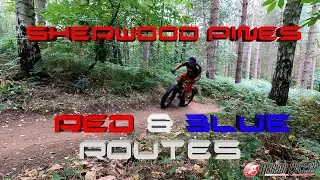 Sherwood Pines Red Route on MTBs and Blue on Gravel Bikes.