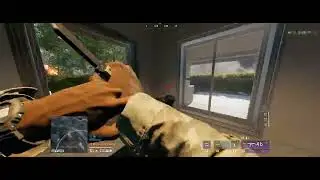 BF Royale Gimpzone | First Melee Kill!