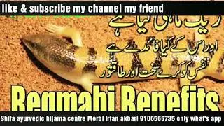 Majun regmahi benefits fayde aur banane ka tariqa
