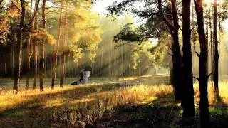 Le Chanson Du Bois ( Classical Music )