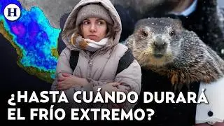 &iquest;Una marmota predijo el clima? Frentes fr&iacute;os y aire polar azotar&aacute;n varios estados de M&eacute;xico
