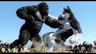KING KONG vs GIANT HUSKY | CITY DESTRUCTION BATTLE