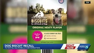 Dog treats sold in Iowa recalled due to possible salmonella contamination
