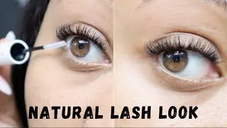 DIY AFFORDABLE LASH EXTENSIONS AT HOME | Amazon LAUBEES Lash Clusters #lashes #diy