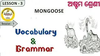 Mongoose Class 8 English lesson 3 MCQ , Vocabulary & Grammar Discussion