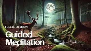 Empower Your Growth &ndash; Full Buck Moon Guided Meditation in Capricorn