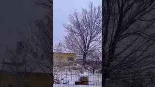 Tem&acirc;ş&acirc;❄️
