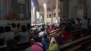 Mass Celebration Communion Rite #masscelebration #communion #pray #catholicfaith #faith #short #asmr