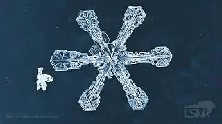 02-07-2021 Rapid City, SD - Detailed Ice Crystal Macro Photographs