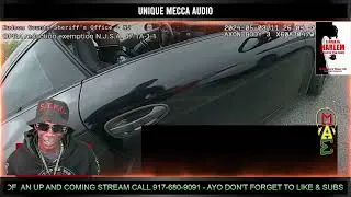 Bodycam Law & Order Star Ice T Goes Off At Traffic Stop