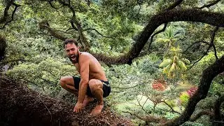 Real Life Tarzan
