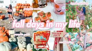 Fall Days in my Life *AESTHETIC* Apple Picking, Trader Joe's, Pumpkin Patch, Cookies | Roxy James