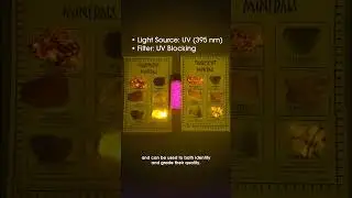 Photoluminescence | Photonics in Everyday Life