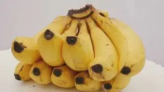 Banana  Berry or Fruit  Unraveling the mystery