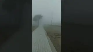 Fog is everywhere..