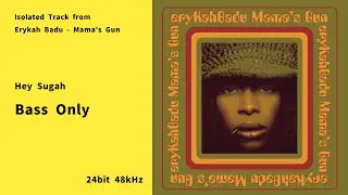 Hey Sugah &ndash; Bass Only (Isolated Track) | Erykah Badu &ndash; Mama&rsquo;s Gun