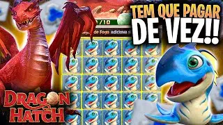 OU TUDO OU NADA! FUI AT&Eacute; O LIMITE PARA FAZER O DRAGON HATCH PAGAR!!