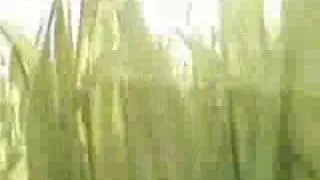 Luma.Beamerz.Live.VJ.Clipz@Cokxpon.080524