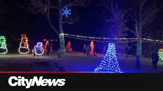 The 39th Annual Lions Festival of Lights grand opening in NW Calgary