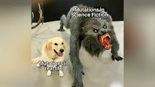 Hilarious Science Memes | Meme Compilation