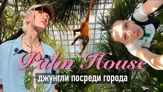 4.Познань: ДЖУНГЛИ в ЦЕНТРЕ ЕВРОПЫ/Palm House/тропическая оранжерея