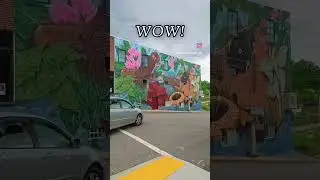 Wow! Mural completed in Mars Hill, NC #northcarolina #viral #art #timelapse