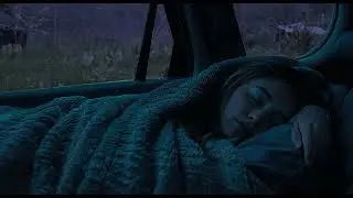 Rain Sounds for Deep Sleep | 3 Hours of Gentle Rain #2