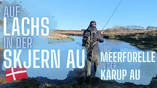 Angeln in D&auml;nemark - Auf Lachs in der Skjern Au und Meerforelle in der Karup Au