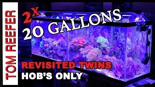 Reef Tank - 20 Gallon Budget Reefs - REVISITED PART 2  - HOB'S ONLY! - No Skimmer