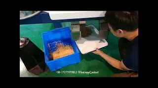 Raw Arabica Coffee Beans Color Sorting With 2nd Sorting