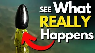 What&rsquo;s REALLY Going On With Worm Weights in Wood? | Bass Fishing Tips