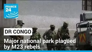 Democratic Republic of Congo: Virunga national park plagued by M23 rebels &bull; FRANCE 24 English